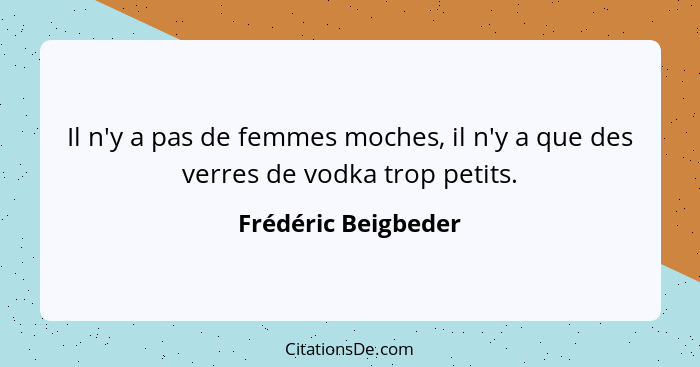 Il n'y a pas de femmes moches, il n'y a que des verres de vodka trop petits.... - Frédéric Beigbeder