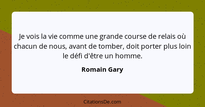 Je vois la vie comme une grande course de relais où chacun de nous, avant de tomber, doit porter plus loin le défi d'être un homme.... - Romain Gary