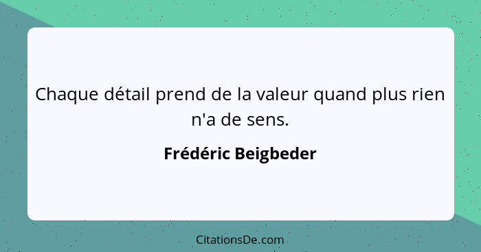 Chaque détail prend de la valeur quand plus rien n'a de sens.... - Frédéric Beigbeder