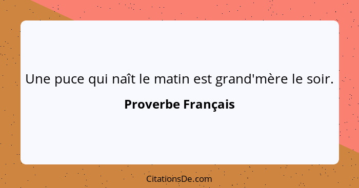 Proverbe Francais Une Puce Qui Nait Le Matin Est Grand Mer