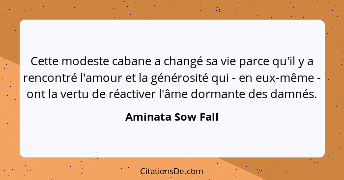 Aminata Sow Fall Cette Modeste Cabane A Change Sa Vie Parc