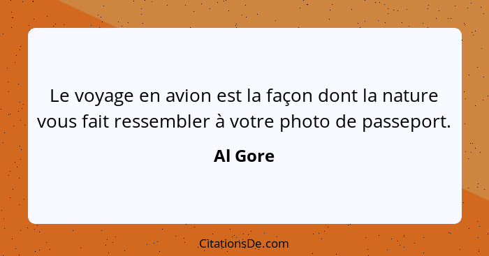 Le voyage en avion est la façon dont la nature vous fait ressembler à votre photo de passeport.... - Al Gore