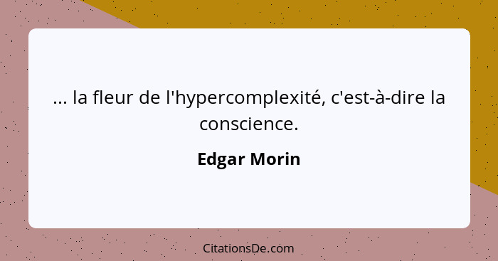 ... la fleur de l'hypercomplexité, c'est-à-dire la conscience.... - Edgar Morin