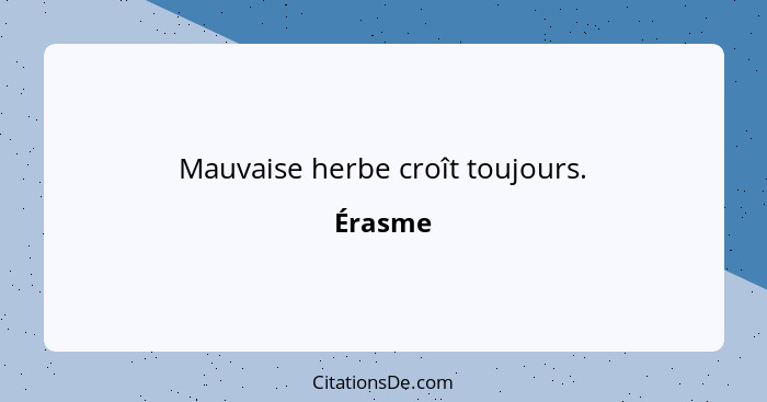 Mauvaise herbe croît toujours.... - Érasme