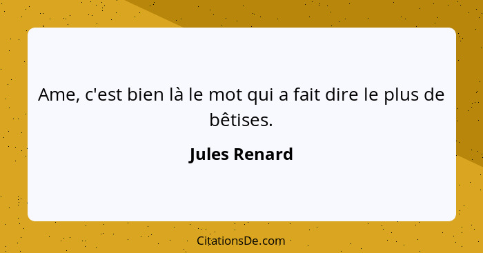 Ame, c'est bien là le mot qui a fait dire le plus de bêtises.... - Jules Renard