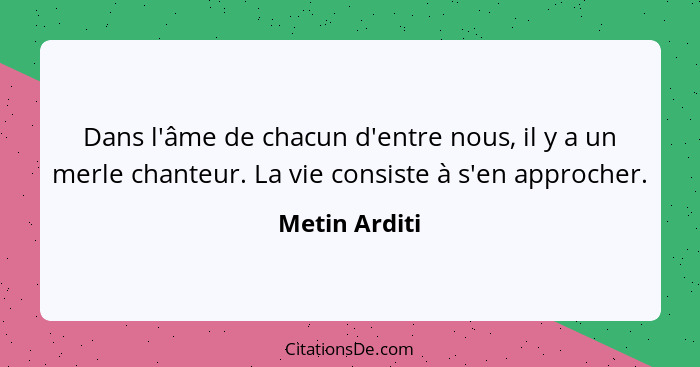 Dans l'âme de chacun d'entre nous, il y a un merle chanteur. La vie consiste à s'en approcher.... - Metin Arditi