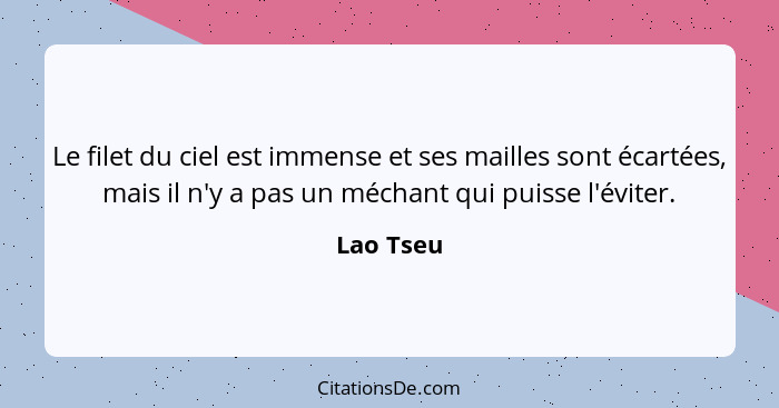 Le filet du ciel est immense et ses mailles sont écartées, mais il n'y a pas un méchant qui puisse l'éviter.... - Lao Tseu