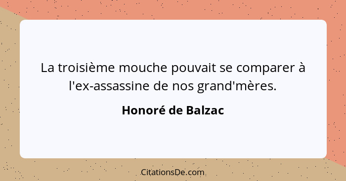 La troisième mouche pouvait se comparer à l'ex-assassine de nos grand'mères.... - Honoré de Balzac
