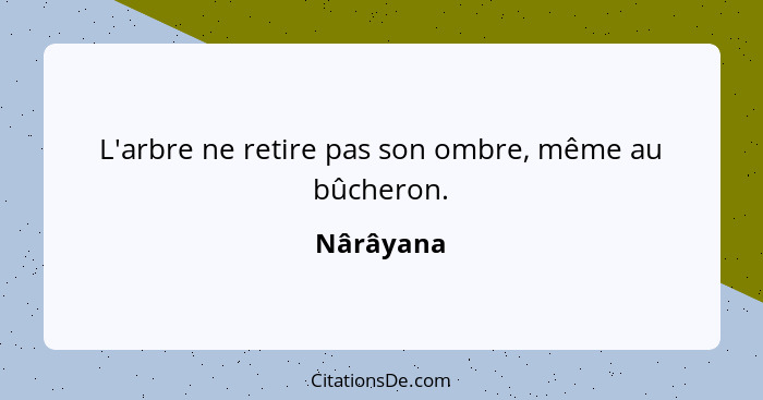 L'arbre ne retire pas son ombre, même au bûcheron.... - Nârâyana