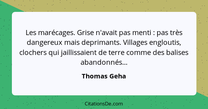 Les marécages. Grise n'avait pas menti : pas très dangereux mais deprimants. Villages engloutis, clochers qui jaillissaient de terr... - Thomas Geha