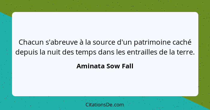 Aminata Sow Fall Chacun S Abreuve A La Source D Un Patrimo