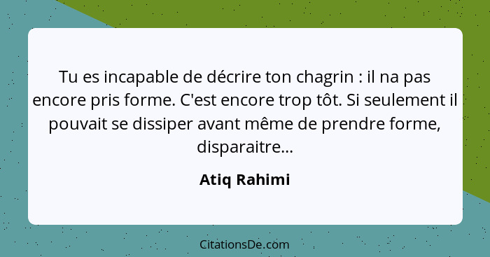 Tu es incapable de décrire ton chagrin : il na pas encore pris forme. C'est encore trop tôt. Si seulement il pouvait se dissiper av... - Atiq Rahimi