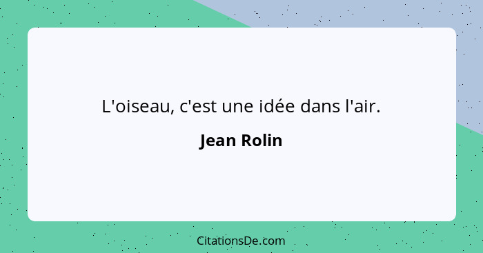 L'oiseau, c'est une idée dans l'air.... - Jean Rolin