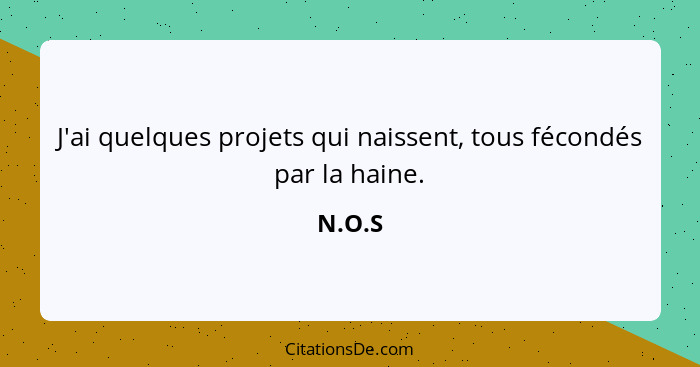 J'ai quelques projets qui naissent, tous fécondés par la haine.... - N.O.S