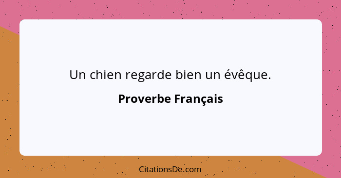 Un chien regarde bien un évêque.... - Proverbe Français