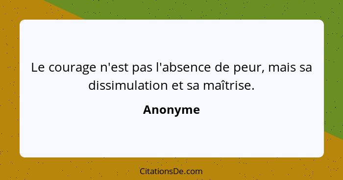 Le courage n'est pas l'absence de peur, mais sa dissimulation et sa maîtrise.... - Anonyme