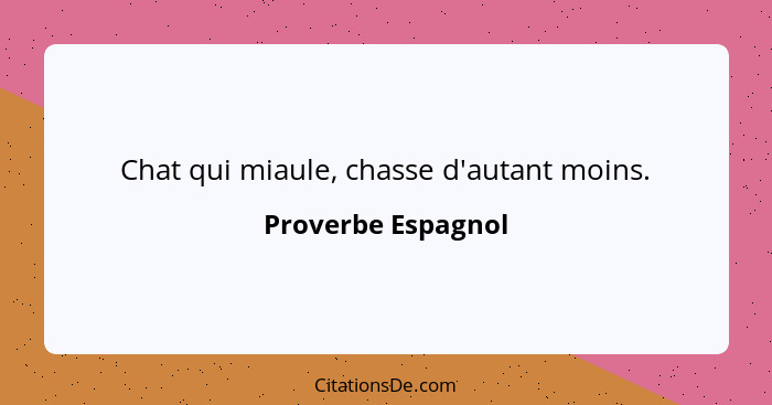 Chat qui miaule, chasse d'autant moins.... - Proverbe Espagnol