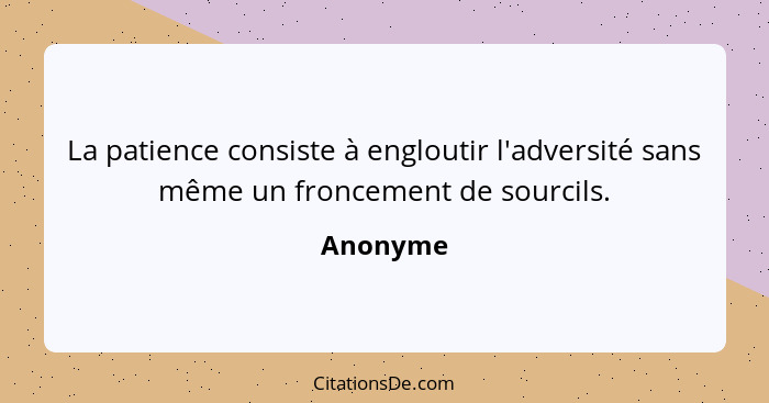 La patience consiste à engloutir l'adversité sans même un froncement de sourcils.... - Anonyme