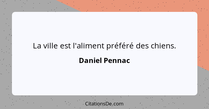 La ville est l'aliment préféré des chiens.... - Daniel Pennac