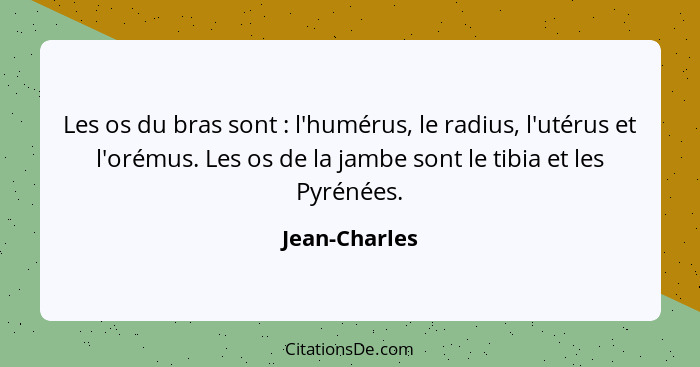 Les os du bras sont : l'humérus, le radius, l'utérus et l'orémus. Les os de la jambe sont le tibia et les Pyrénées.... - Jean-Charles