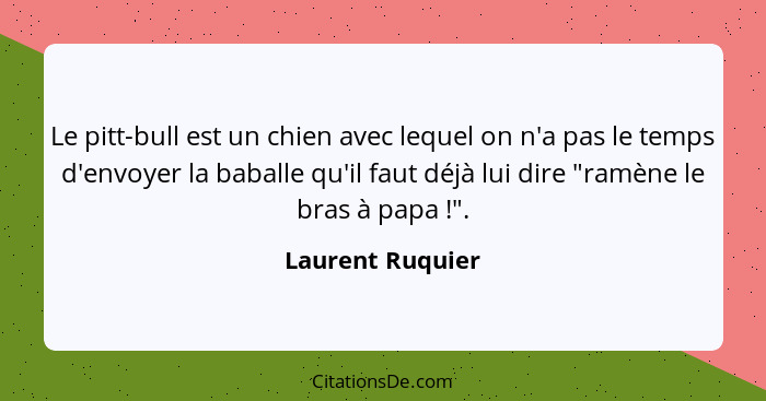 Le pitt-bull est un chien avec lequel on n'a pas le temps d'envoyer la baballe qu'il faut déjà lui dire "ramène le bras à papa ... - Laurent Ruquier