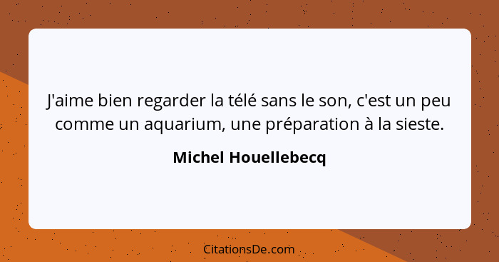 J'aime bien regarder la télé sans le son, c'est un peu comme un aquarium, une préparation à la sieste.... - Michel Houellebecq