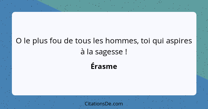 O le plus fou de tous les hommes, toi qui aspires à la sagesse !... - Érasme