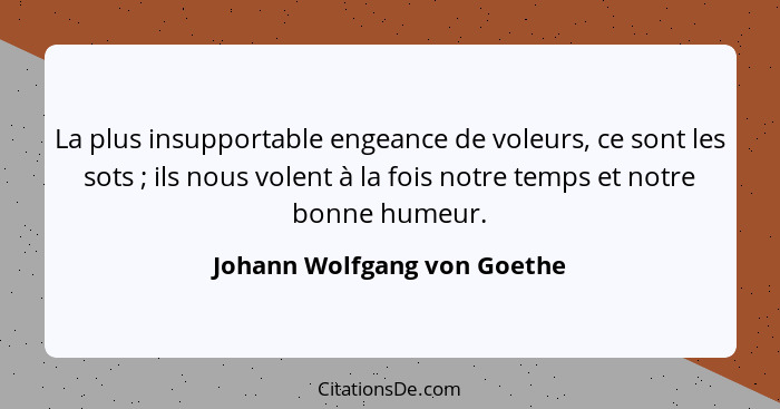 La plus insupportable engeance de voleurs, ce sont les sots ; ils nous volent à la fois notre temps et notre bonne h... - Johann Wolfgang von Goethe