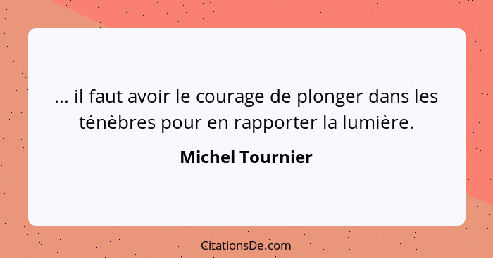 ... il faut avoir le courage de plonger dans les ténèbres pour en rapporter la lumière.... - Michel Tournier