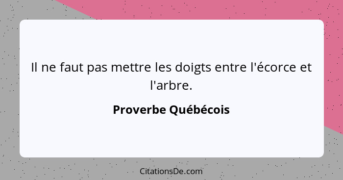 Il ne faut pas mettre les doigts entre l'écorce et l'arbre.... - Proverbe Québécois