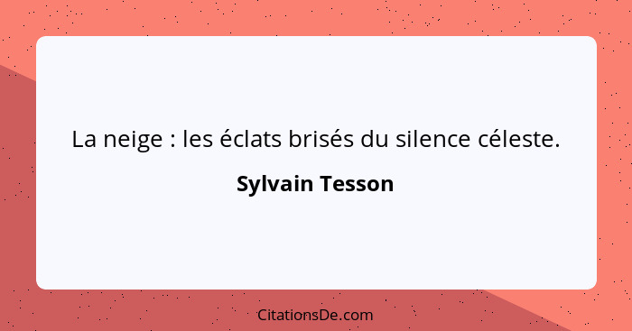 La neige : les éclats brisés du silence céleste.... - Sylvain Tesson