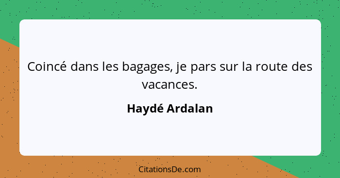 Coincé dans les bagages, je pars sur la route des vacances.... - Haydé Ardalan