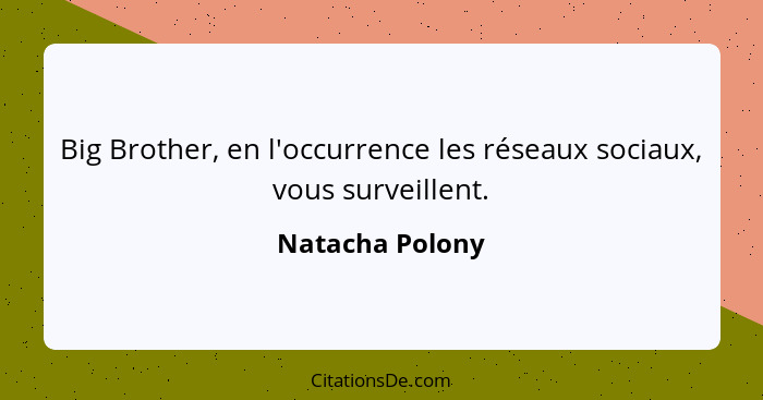 Big Brother, en l'occurrence les réseaux sociaux, vous surveillent.... - Natacha Polony