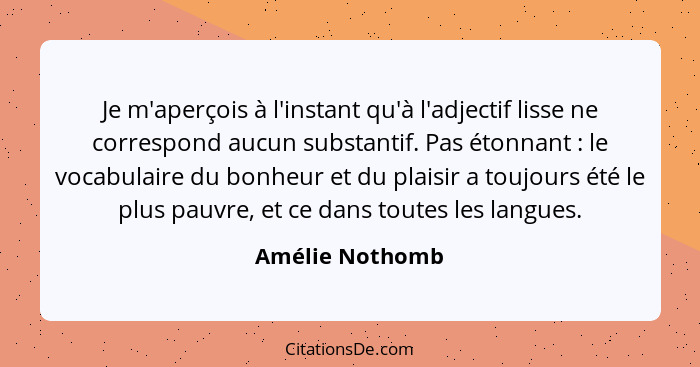 Je m'aperçois à l'instant qu'à l'adjectif lisse ne correspond aucun substantif. Pas étonnant : le vocabulaire du bonheur et du p... - Amélie Nothomb