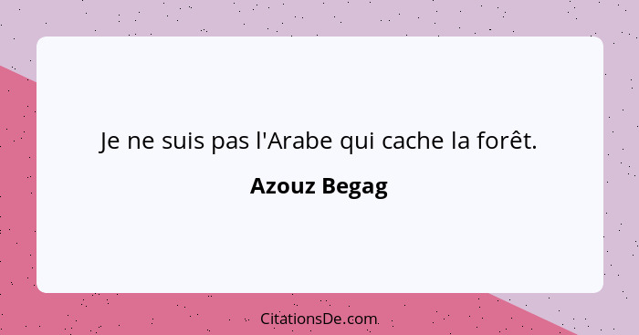 Je ne suis pas l'Arabe qui cache la forêt.... - Azouz Begag