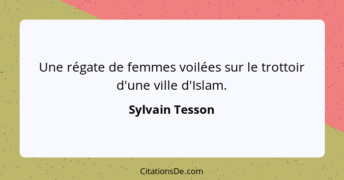 Une régate de femmes voilées sur le trottoir d'une ville d'Islam.... - Sylvain Tesson