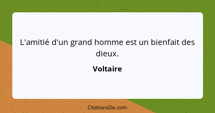 L'amitié d'un grand homme est un bienfait des dieux.... - Voltaire