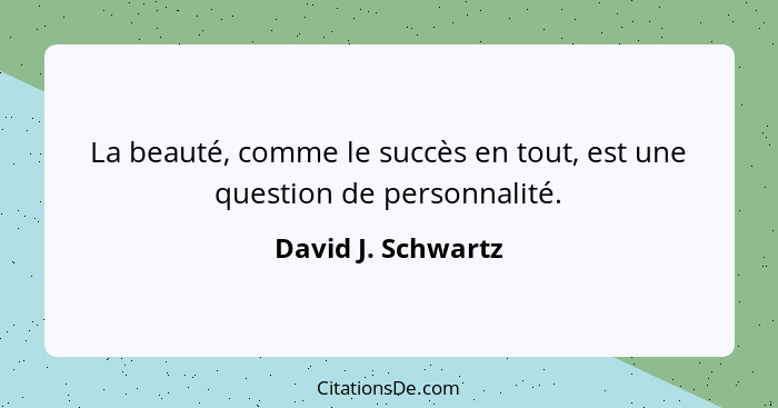 La beauté, comme le succès en tout, est une question de personnalité.... - David J. Schwartz