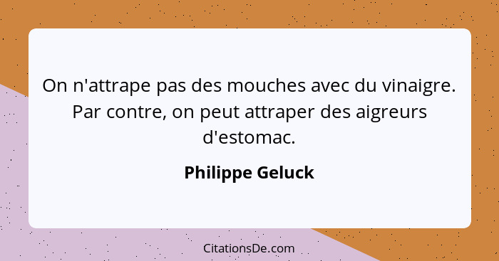 On n'attrape pas des mouches avec du vinaigre. Par contre, on peut attraper des aigreurs d'estomac.... - Philippe Geluck