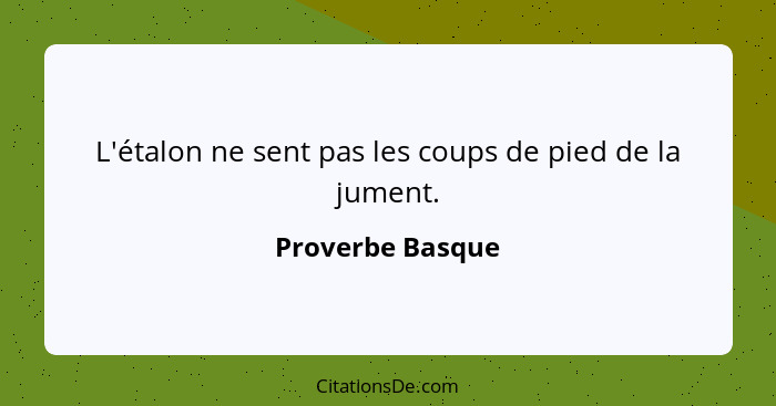 L'étalon ne sent pas les coups de pied de la jument.... - Proverbe Basque