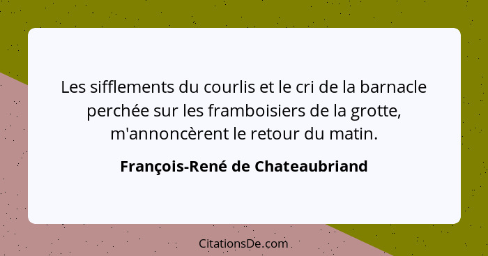 Les sifflements du courlis et le cri de la barnacle perchée sur les framboisiers de la grotte, m'annoncèrent le retou... - François-René de Chateaubriand