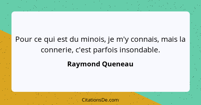 Pour ce qui est du minois, je m'y connais, mais la connerie, c'est parfois insondable.... - Raymond Queneau