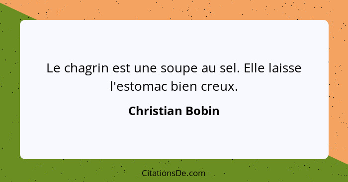 Le chagrin est une soupe au sel. Elle laisse l'estomac bien creux.... - Christian Bobin