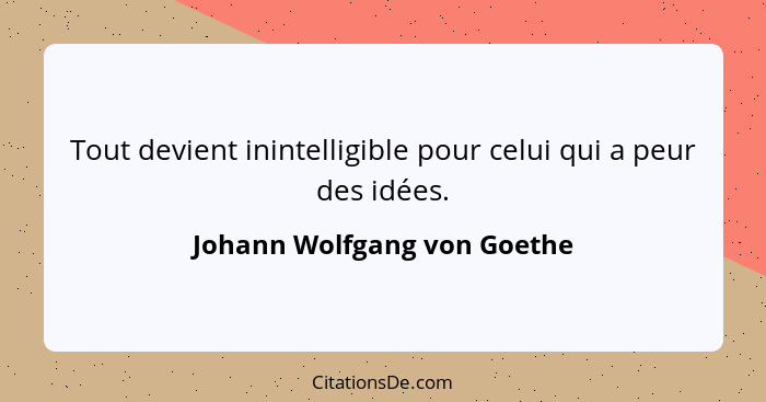 Tout devient inintelligible pour celui qui a peur des idées.... - Johann Wolfgang von Goethe