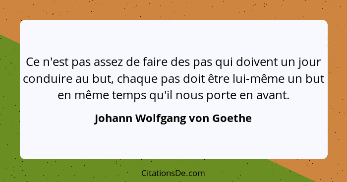 Ce n'est pas assez de faire des pas qui doivent un jour conduire au but, chaque pas doit être lui-même un but en même tem... - Johann Wolfgang von Goethe