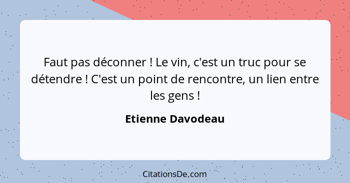 Faut pas déconner ! Le vin, c'est un truc pour se détendre ! C'est un point de rencontre, un lien entre les gens !... - Etienne Davodeau