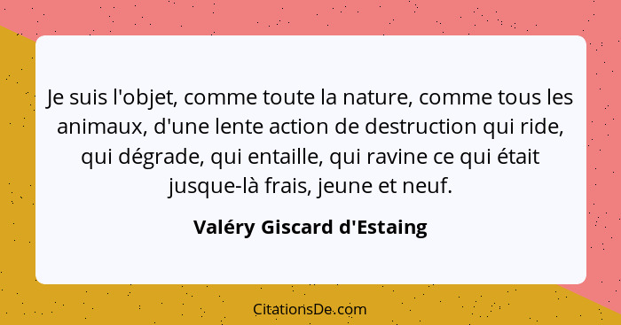 Je suis l'objet, comme toute la nature, comme tous les animaux, d'une lente action de destruction qui ride, qui dégrade... - Valéry Giscard d'Estaing