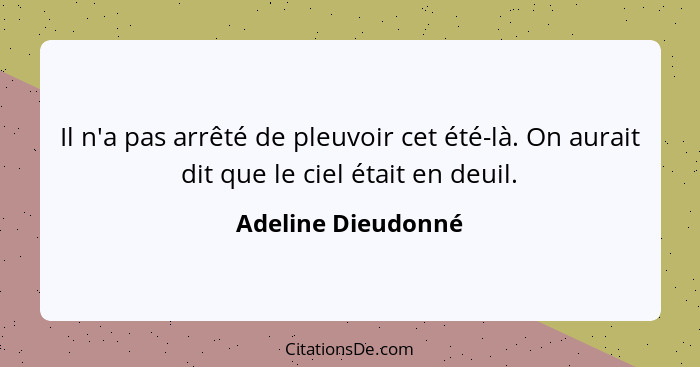 Il n'a pas arrêté de pleuvoir cet été-là. On aurait dit que le ciel était en deuil.... - Adeline Dieudonné