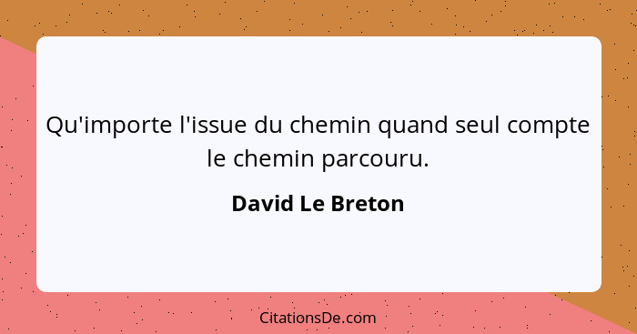 Qu'importe l'issue du chemin quand seul compte le chemin parcouru.... - David Le Breton