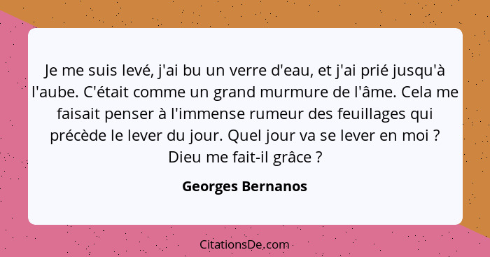 Je me suis levé, j'ai bu un verre d'eau, et j'ai prié jusqu'à l'aube. C'était comme un grand murmure de l'âme. Cela me faisait pens... - Georges Bernanos